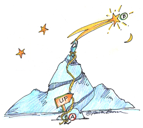 MountainStarReachLR500